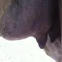 خلفه رقم واحد