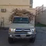 حطب للبيع