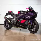 2024 Kawasaki ninja ZX10RR LIMITED EDITION