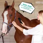 فرشاة شعر الحصان