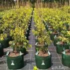 اكياس تشتيل بي احجام كبيره تصل الي 1000 لتر لسهوله النقل وال