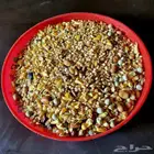 مشكل حمام علف الكيلو بريالين