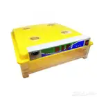 فقاسه حجم 98بيصه