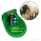 مشربية او سقاية ماء للاغنام
