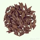 عرض تصفية كمبودي تايقر فاخر