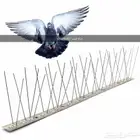 تركيب وبيع أشواك طارد الحمام بالدمام والخبر والظهران.القطيف