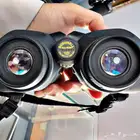 دربيل بوشنال