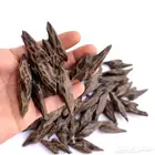 عرض عودة تايجر 3 اوقيات 120 ريال