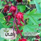 كركدية