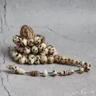 سبحة خشب الفاوانيا (عود الصليب)