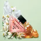 عطر برادا برادوكس نسائي ( الاصلي )