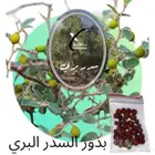 متوفر بذور برية
