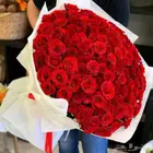 ورود بأسعار الجمله