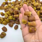تمر سكري فاخر مفتل   جالكسي