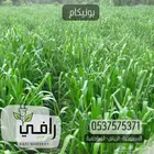 شتلات بونيكام