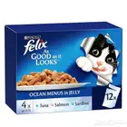 Purina Felix 85g(pack of 12)