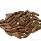 عود مروكي محسن