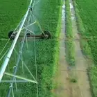 من عنده مزرعه للبيع أو يبحث عن مزرعه