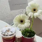 قهوة وورد