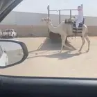 رحول للبيع
