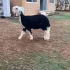 للبيعع رخل خصمم منوت القناي