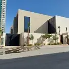 نخل واشنطن ملكي وشغل النخل مظمون