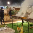 معلم مشوي