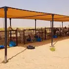 مضلات ابل مضلات غنم مضلات خيل سهل فك وتركيب