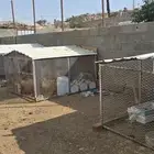 شبوك للبيع