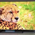 شاشة tcl 75 بوصة اعلا اعلا فئة