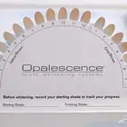 جل تبييض الأسنان Opalescence أوبالسنس تركيز 10