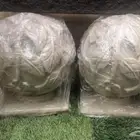 كوره فيبر