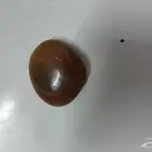 حجر خام