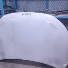 كبوت سلتس