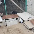 ارانب (قزمه) نذر لاند