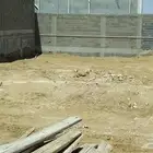 مقاول عظم مصري
