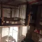 شبك حمام ومحاكر
