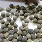 بذور بامية حساويه