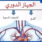 مدرسة لشرح مادة العلوم والرياضيات والانجليزي