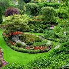 خبير زراعه اشجار ونخيل واشجار ظل. للفل والحدائه والمزارع