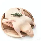بط مذبوح جاهز والتوصيل مجانا