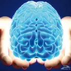 تطوير ذاكرتك وتركيزك