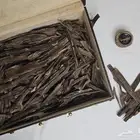 عود الهندي