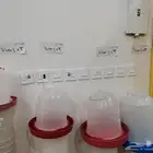 عروض خاصة على المشارب والمعالف