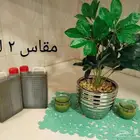 زيت زيتون فلسطيني بكر فاخر لكل أرجاء السعودية