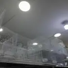 شبك قفص 601 ابو فاصل مستخدم