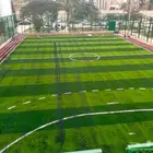 ملاعب كرة قدم عشب ملاعب