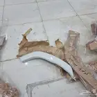 صقور المملكه يوجد لدينا جميع قطع الوكاله جيب لاندكروزر