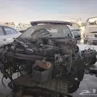 شيري اريزو20236