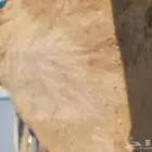 توريدمودبناء